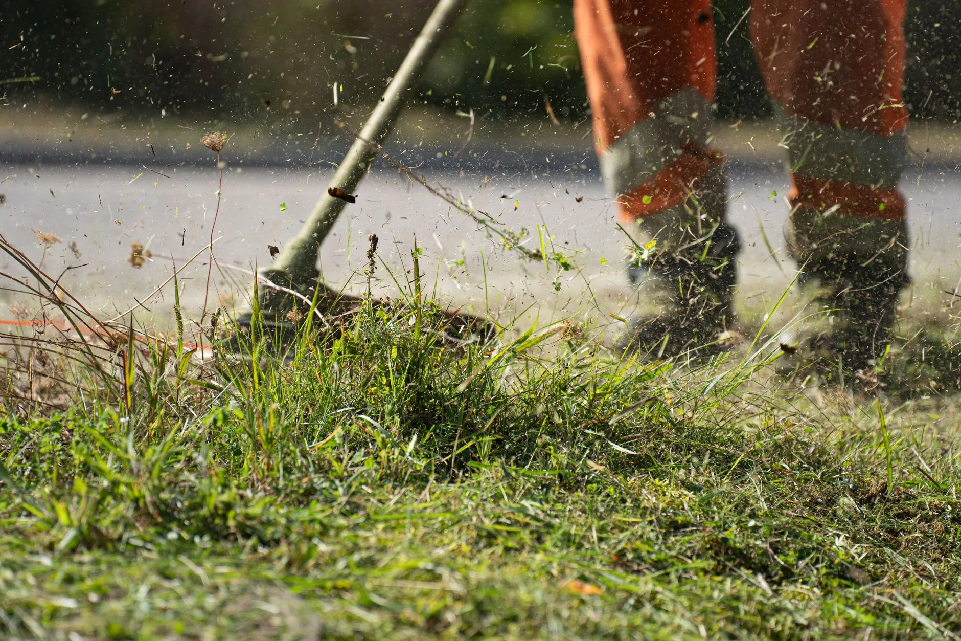 Nettoyage et entretien de jardin à Sambreville